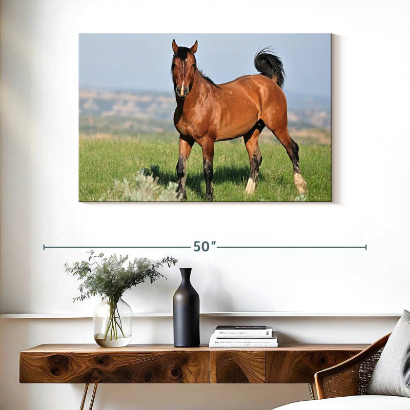 Brampt Majestic Wild Horse