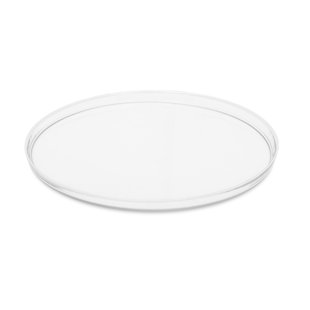 10 Glass Charger (Set of 4)