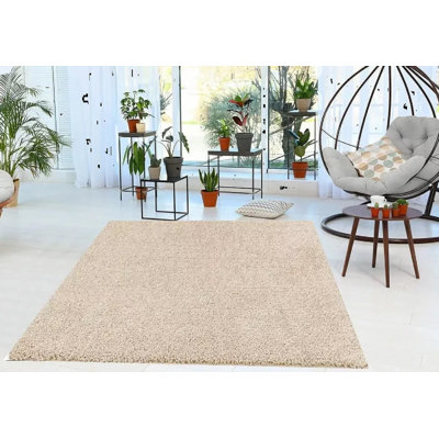 Shag Area Rug