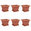 Planter-1849224899-1849224908-1849224915