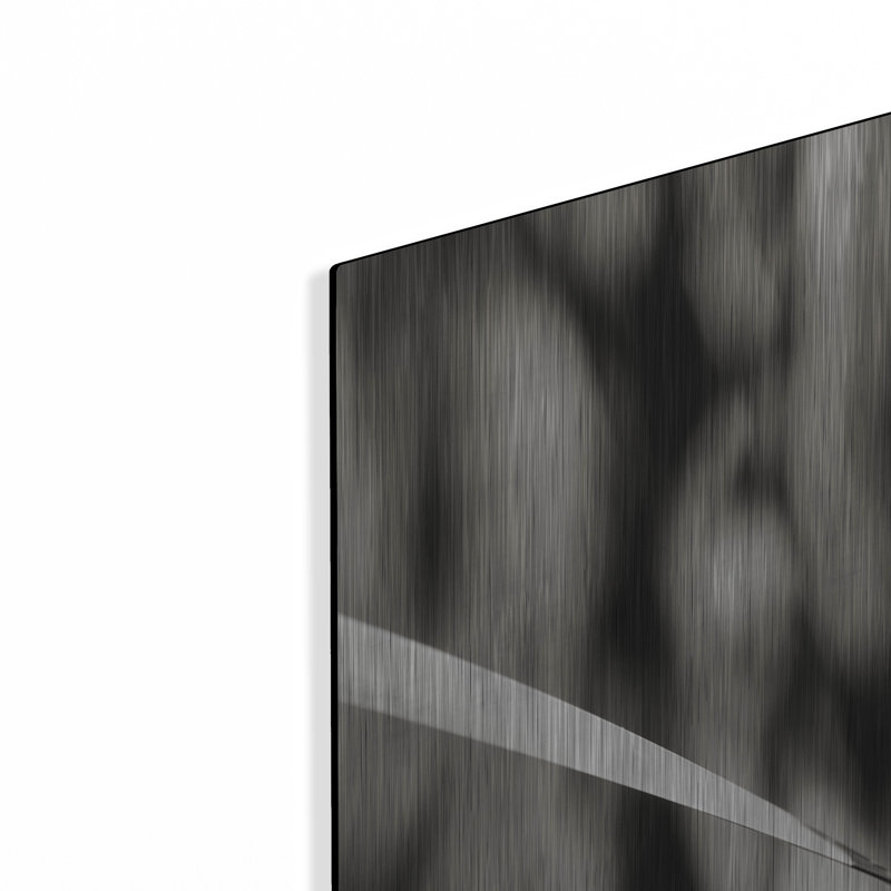 Latitude Run® 'Leaves BW 03' by Tom Quartermaine, Metal Wall Art,, H 36 po x l 36 po