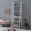 Gardi 175.5cm H x 64cm W Ladder Bookcase-17613457-123754582