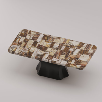 Arboresce Petrified Wood Coffee Table