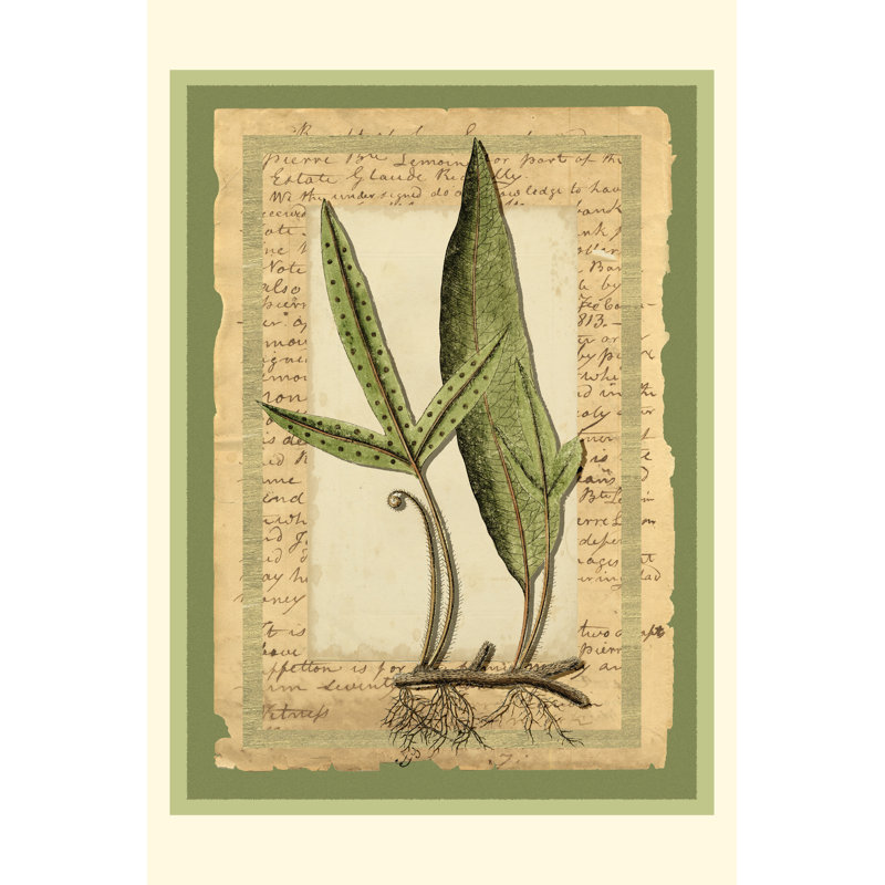 Woodland Scrapbook IV, H 18 po x l 12 po x P 1,25 po