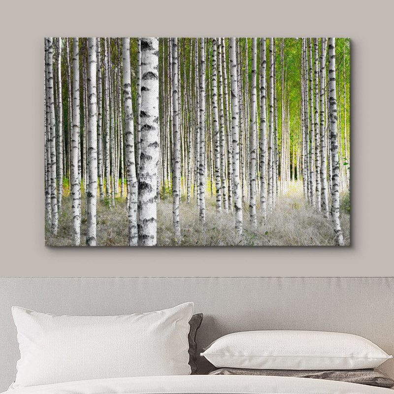 Aspen Birch White Birch Trees In Green Forest sur toile, H 16 po x l 24 po x P 1,5 po, Toile tendue
