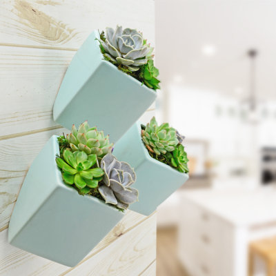Earhart Ceramic Wall Planter
