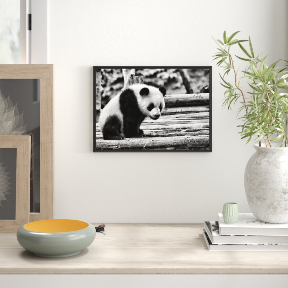 Gerahmtes Wandbild Panda auf HolzstÃ¤mmen