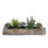 Faux Succulent Plant in Cement Log
