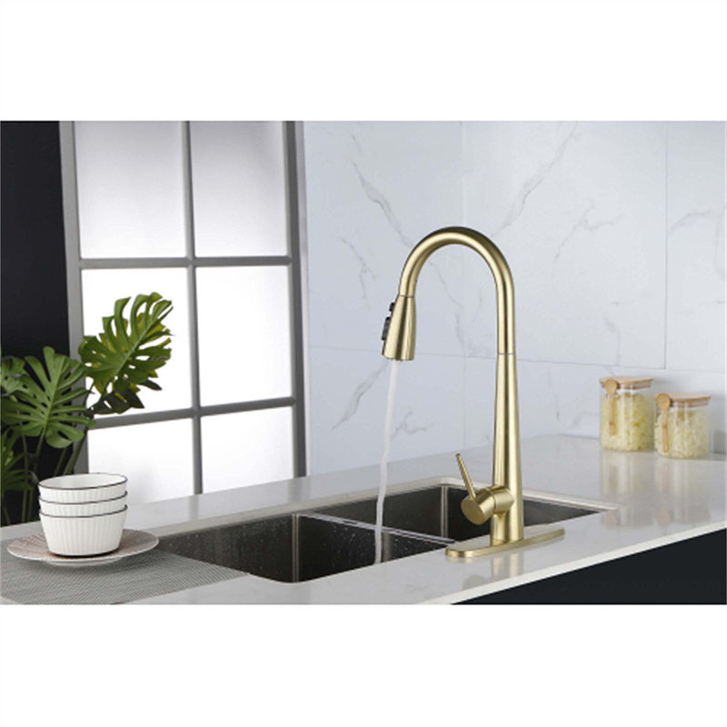 Red Cloud Pull Down Kitchen Faucet, Gold