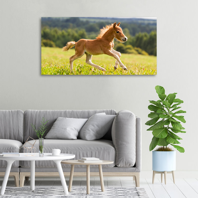Foal In Gallop - No Frame Print on Canvas