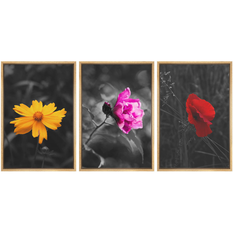 Touche de couleur fleurs sur fond noir et blanc, décoration murale moderne, Cadre naturel flottant, H 24 po x l 48 po