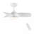 Jareem 28'' Ceiling Fan with LED Lights