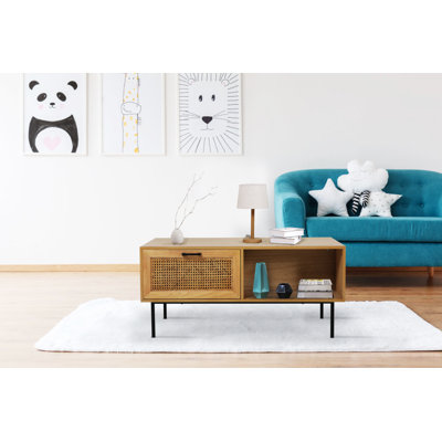 Abbottstown Four Leg Coffee Table with Storage