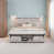 Blanc antique est en rupture de stock