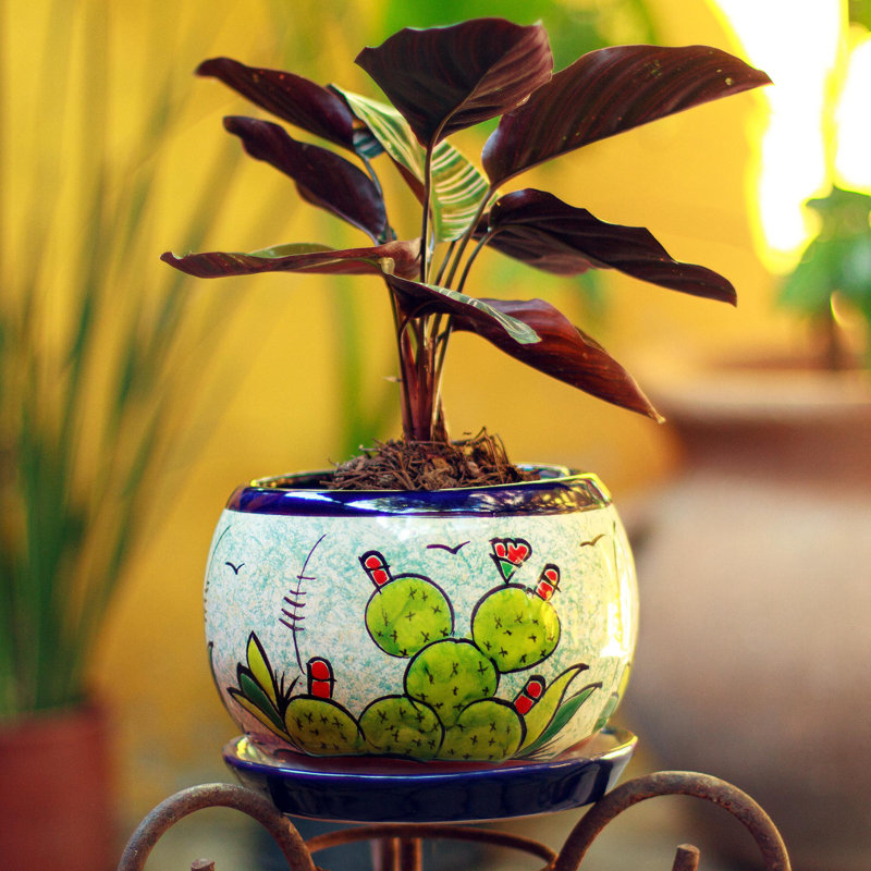 Lefever Handmade Ceramic Planter Box