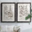 Sépia Besler Botanicals III - reproduction encadrée de qualité supérieure - prête à être accrochée-1132794142-1132794139