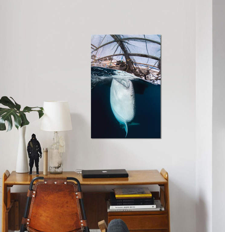 " Whale Shark Sucking At Fishing Nets For Scraps Of Fish " by Mathieu Meur, 26" H x 18" W x 1.5" D, Wrapped Canvas, No Mat