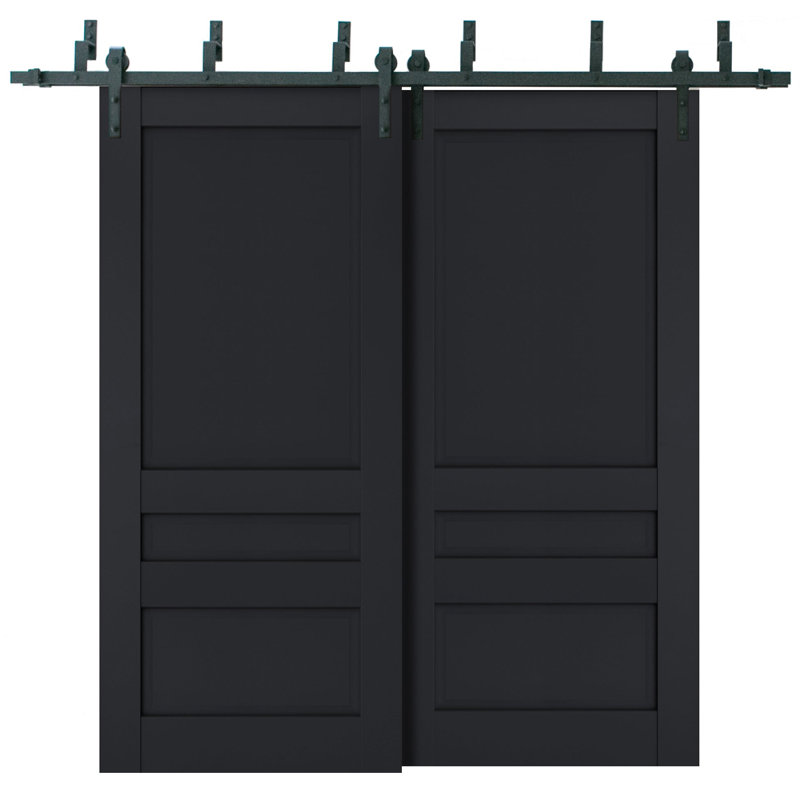 Portes de grange à panneaux en bois Veregio, Antracite, 64 po x 80 po