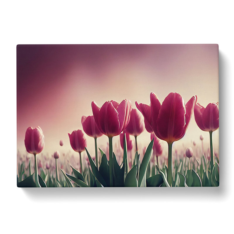 Mind Blowing Tulip Flowers - Wrapped Canvas Print, 35cm H x 50cm W x 3cm D