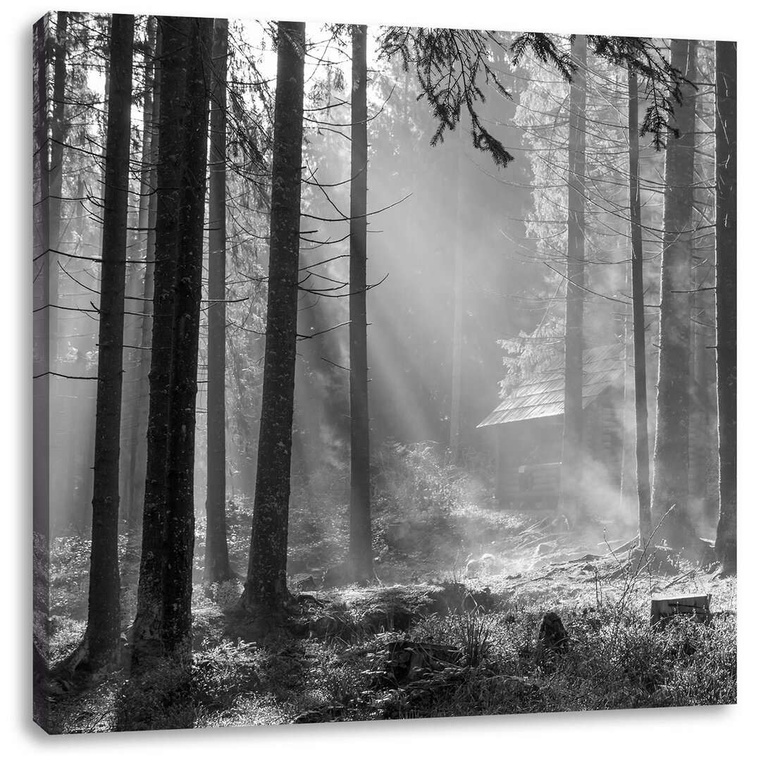 Leinwandbild Häuschen im Wald mit Sonnenstrahlen