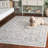 Xanthi Performance Oriental Rug-801978348