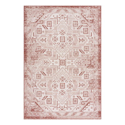 Allexis Indoor / Outdoor Rug