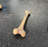 Small Dinosaur Bone Life Size Statue