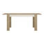 Blayze Extendable Dining Table-25323073