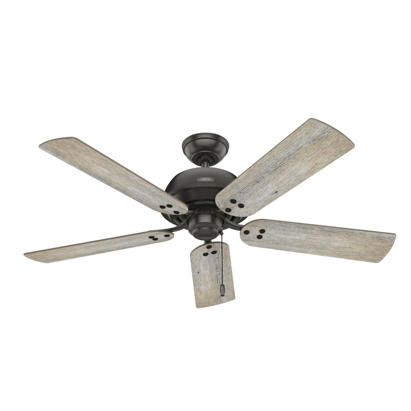52" Shady Grove 5 - Blade Ceiling Fan With LED Light Kit And Pull Chain, Black Gray