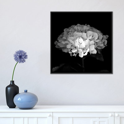 Hydrangea VI, B&W par Magda Indigo - estampe numérique sur toile tendue avec châssis