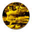 Black Gold Print-49240041-49240043