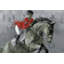 Parvez Taj - Wrapped Canvas Print-36743667