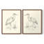 Étude de croquis Waterbird I-Premium, impression encadrée - prête à être accrochée - aucun clou requis-1498745797-1498745818