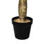 Cactus artificiel en pot-515654070
