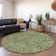 Premium Machine Washable Prisco Olive Rug