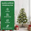 Artificial Hinged Christmas Tree with Cones-334923954-334923950