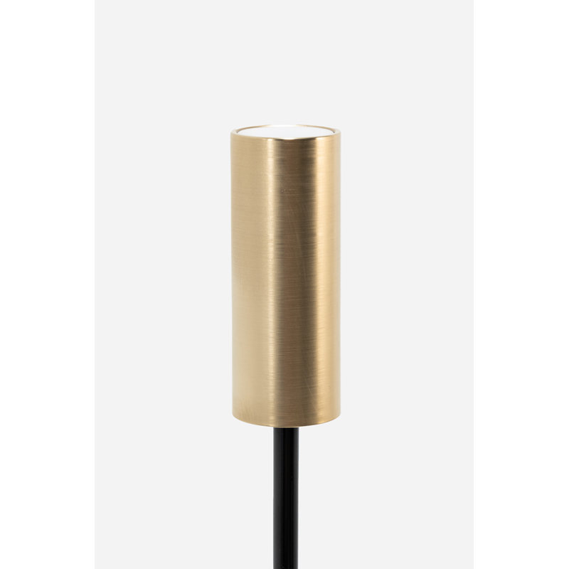Carolina Pro, Jet Black / Brushed Brass