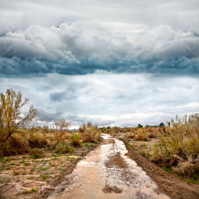 Flooded Road - Wrapped Canvas Print