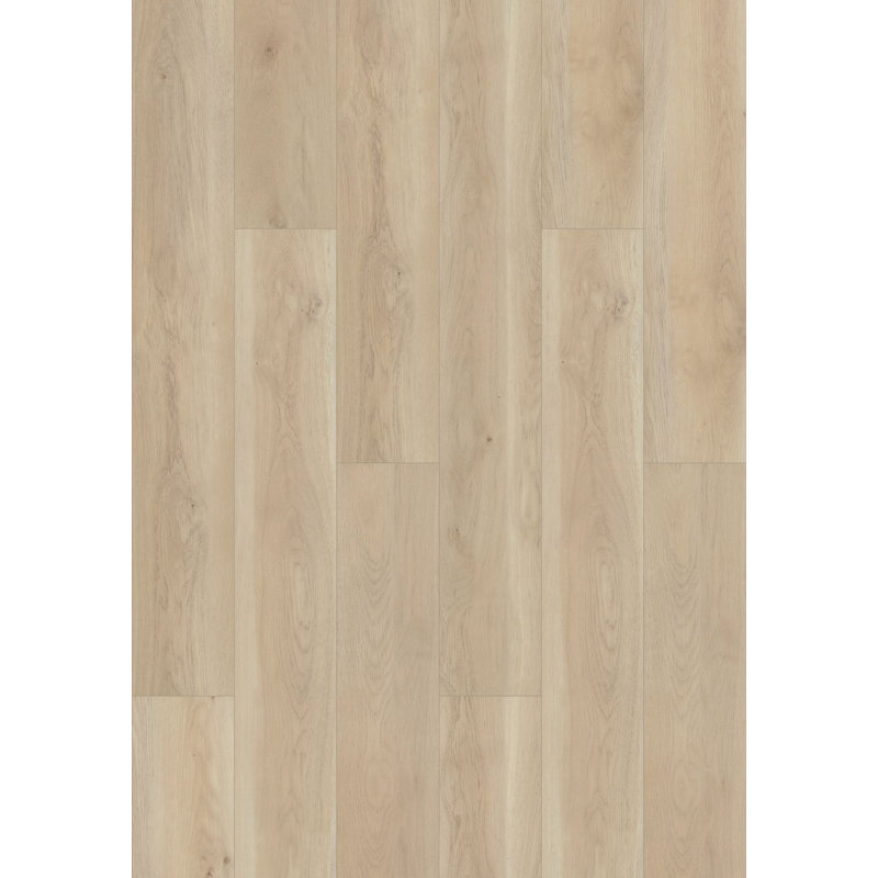 Shaw Aphrodite HD 6-mm x 7-in W x 48-in L Waterproof Luxury Vinyl Plank Flooring, Acroplis