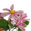 Plastic, Silk Magnolia Arrangement