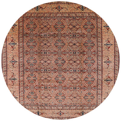 Styrman Oriental Indoor Rug