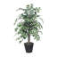 Série de ficus artificiels panachés-67117258