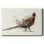 Toile tendue Pheasant Splash-665498334