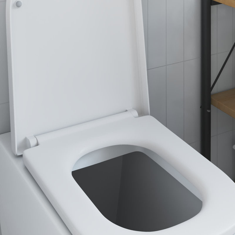 Grey Plastic Standard Adjustable Armrests Toilet Seat Oval, White