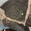 Photos des clients 1 de 3