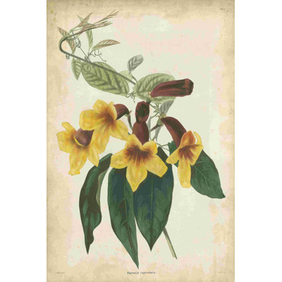 Floral tropical VI