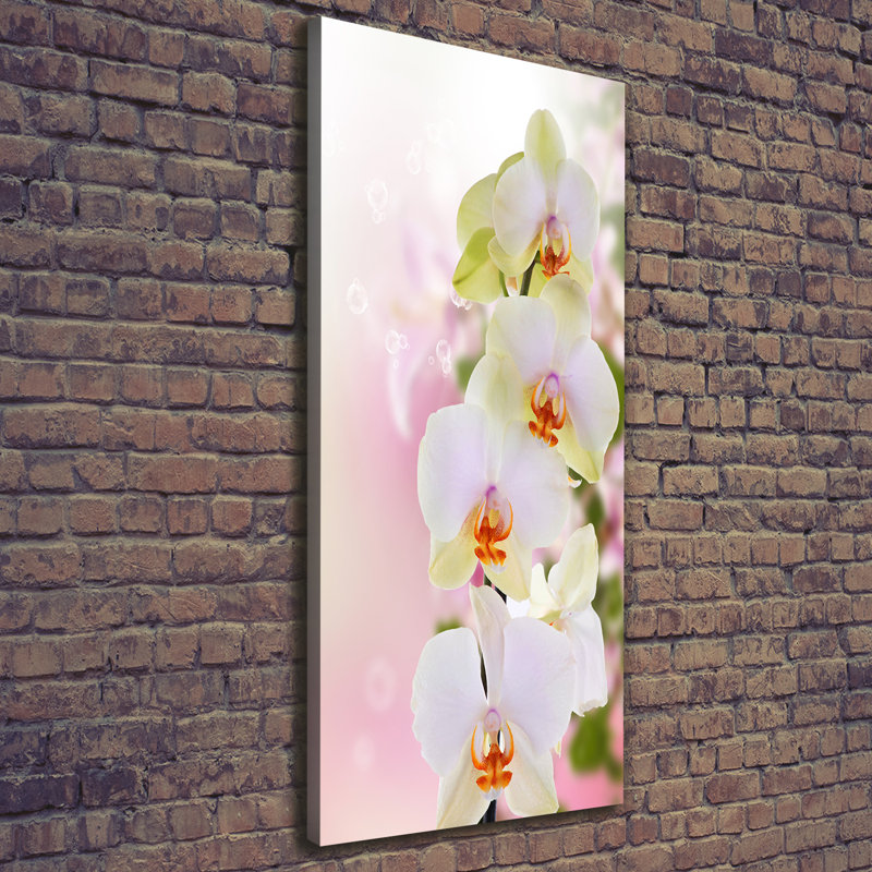 White orchid 1 Piece Wrapped Canvas Wall Art