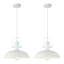 Luminaire suspendu en forme de dôme à 2 lumières pour îlot de cuisine 13,8 po-117432674