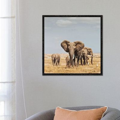 Colour Elephant Herd by Klaus Tiedge - Print on Canvas