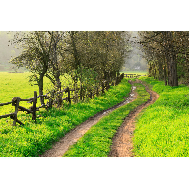 Farm Road In Spring - Wrapped Canvas Print, 81cm H x 122cm W